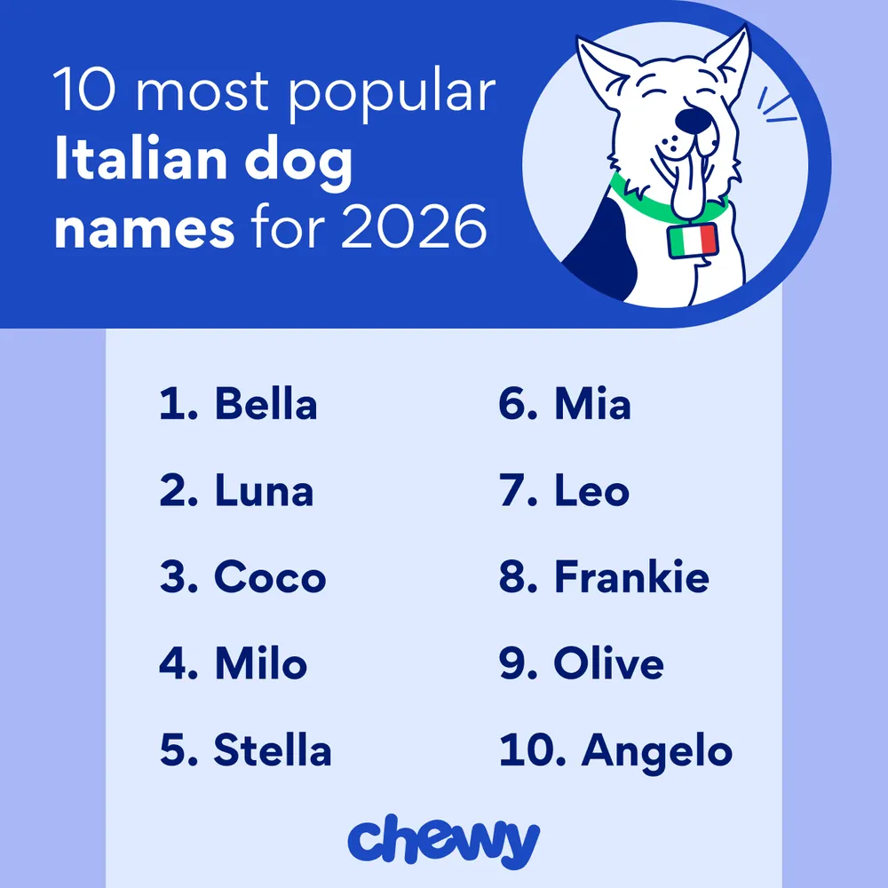 italian dog names