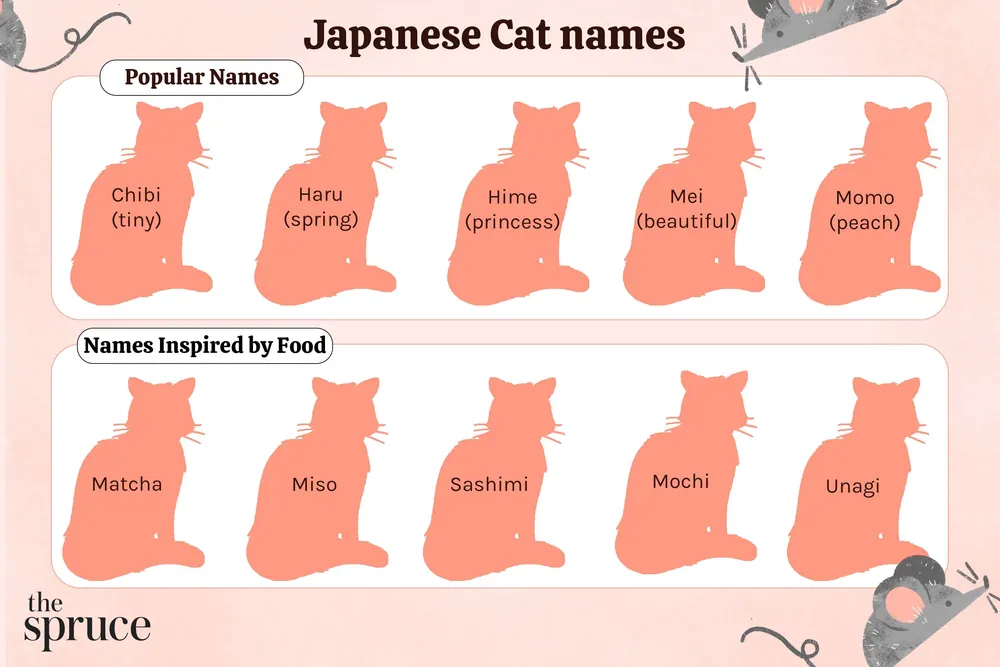 japanese cat names