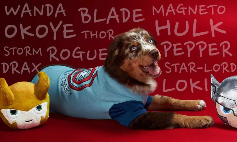 marvel dog names