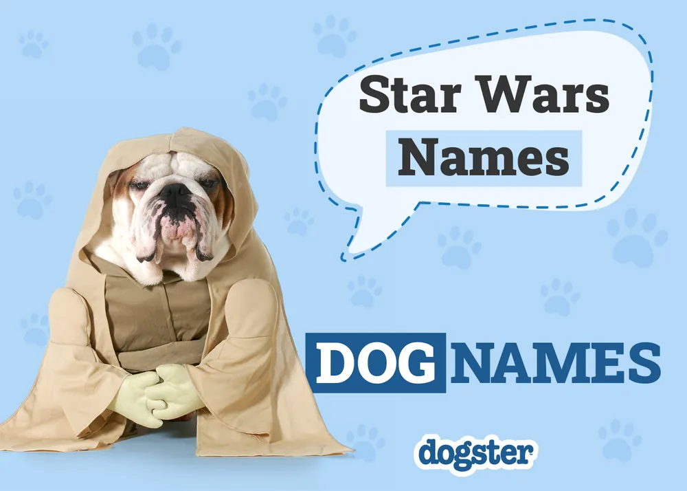 star wars dog names
