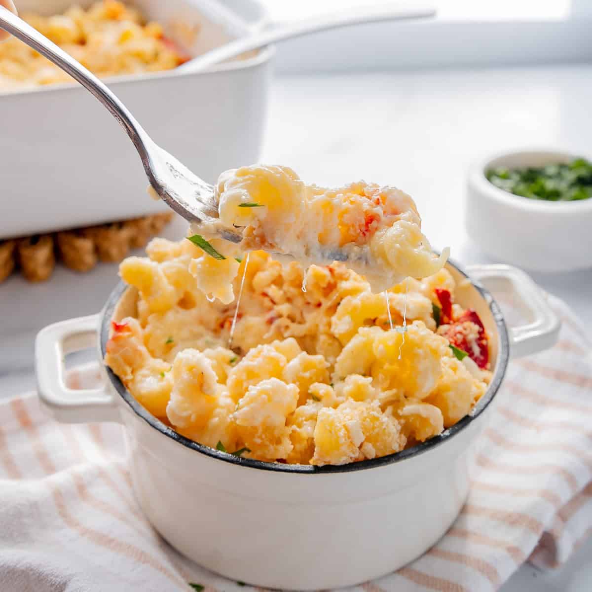 Lobster and Macaroni Gratin Recipe