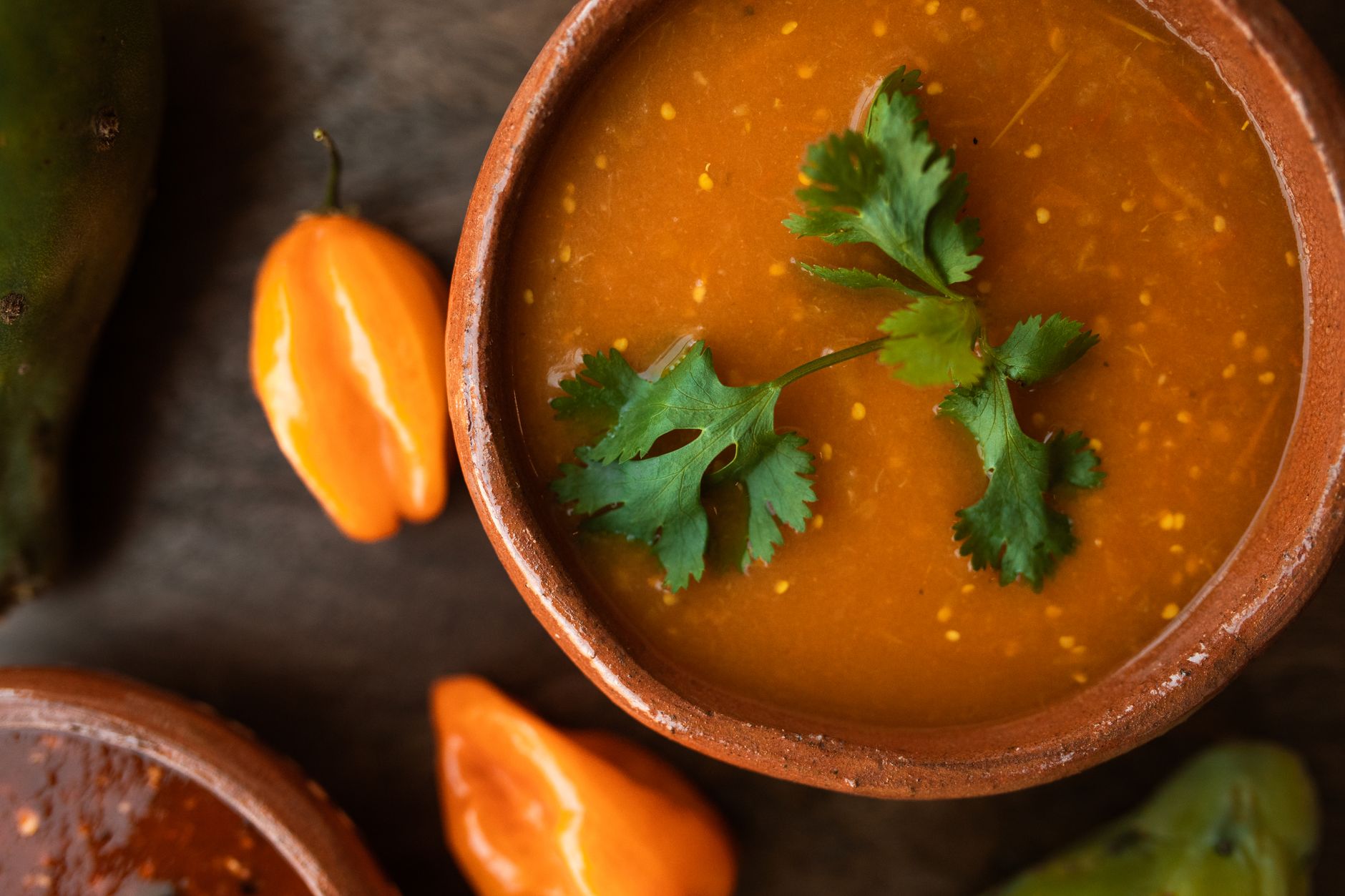 Gina's Hot and Spicy Tortilla Soup Recipe