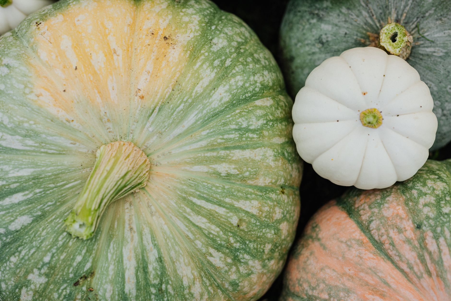 Pumpkin Vermont Chevre and Jonah Crab Souffle Recipe